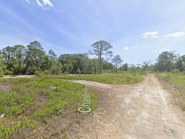 104 CHANDLER TERRACE NE, LAKE PLACID, FL 33852