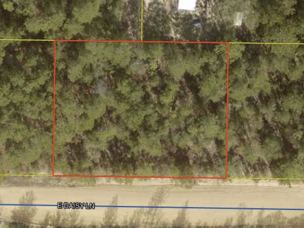 Lots 29&30 E Daisy Lane, DeFuniak Springs, FL 32433