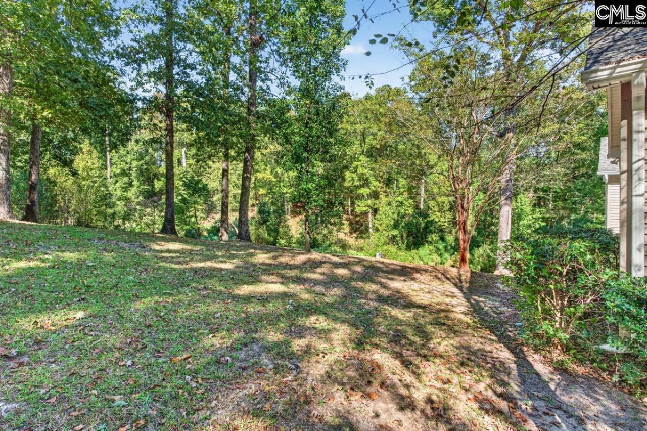 336 Clearview Drive  Photo 47