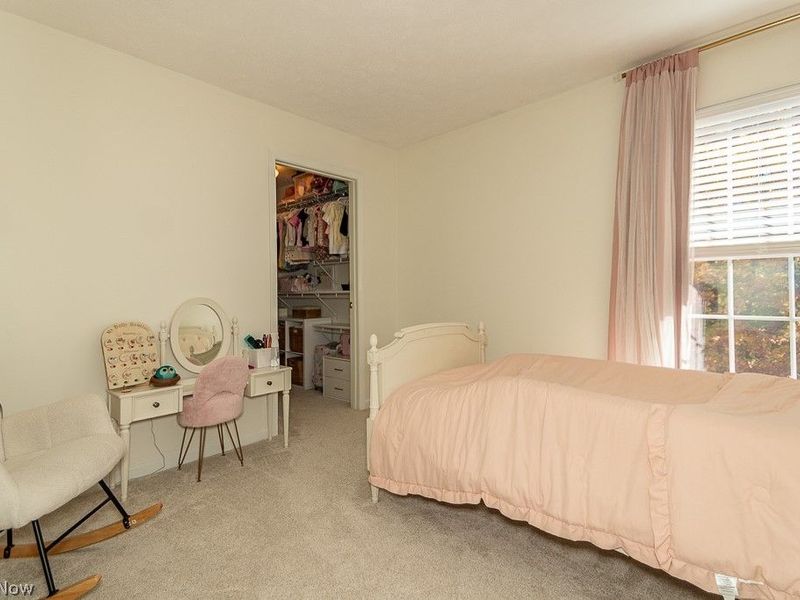 10138 Creekview Court , Streetsboro, OH 44241 Photo 20