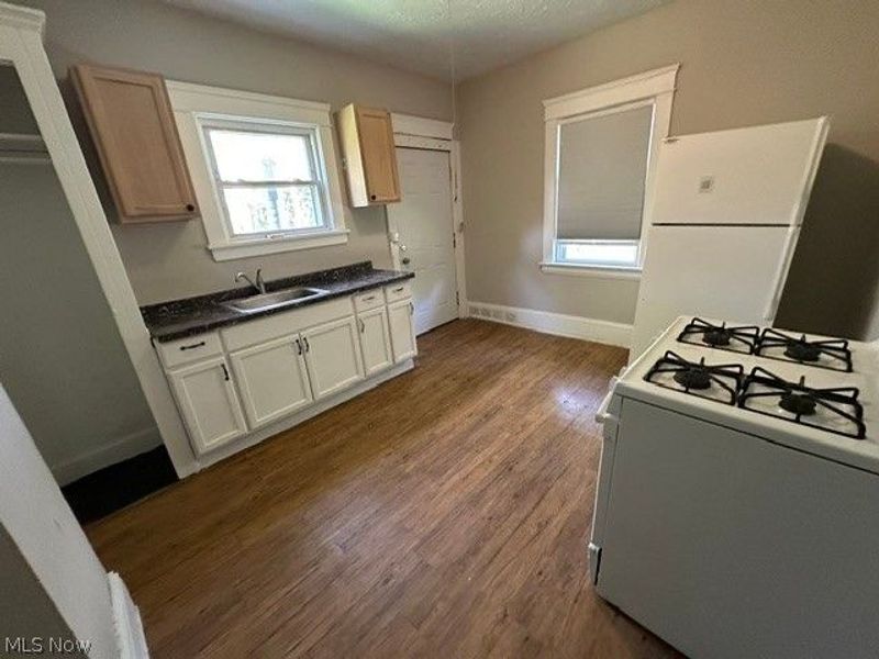 884 E 150th Street, Cleveland, OH 44110 Photo 8