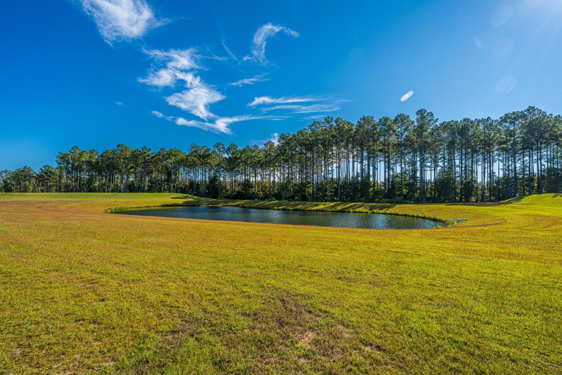 5212 Cottage Landing Drive Photo 41