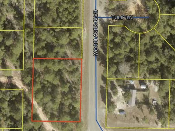 39-40 Woodlands Boulevard, DeFuniak Springs, FL 32433