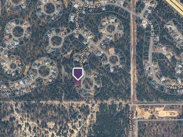 14 FLORIBUNDA COURT , HOMOSASSA, FL 34446