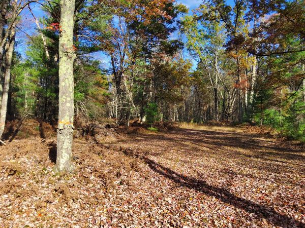 5301 W 16 Mile Rd, Bitely, MI 49309