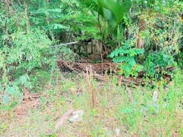 5231 SE 29TH COURT , OCALA, FL 34480