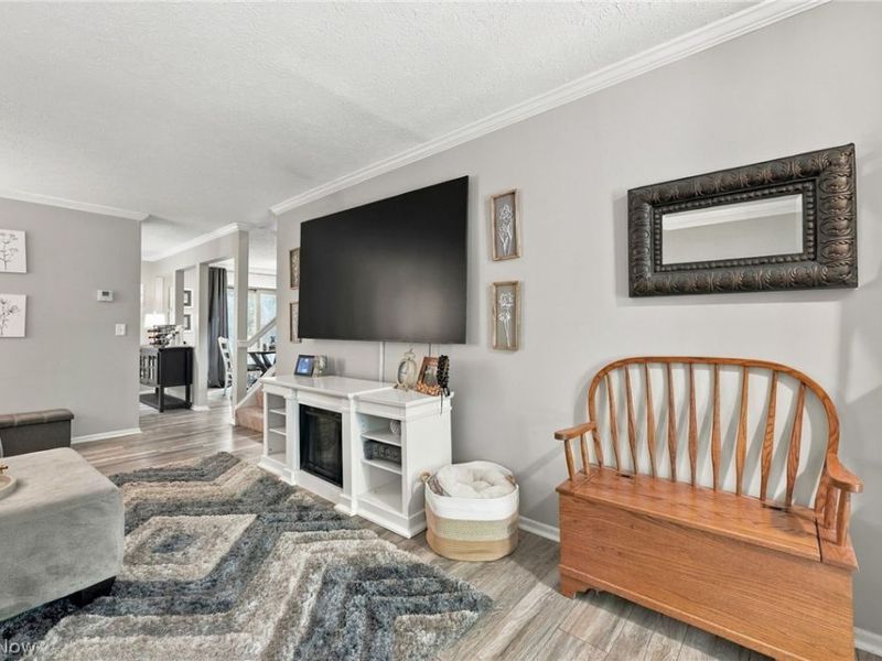 7033 Buckhurst Place, Concord Township, OH 44060 Photo 6