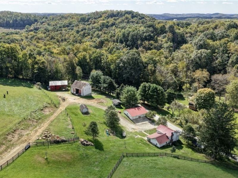 24328 Township Road 252b, Newcomerstown, OH 43832 Photo 28