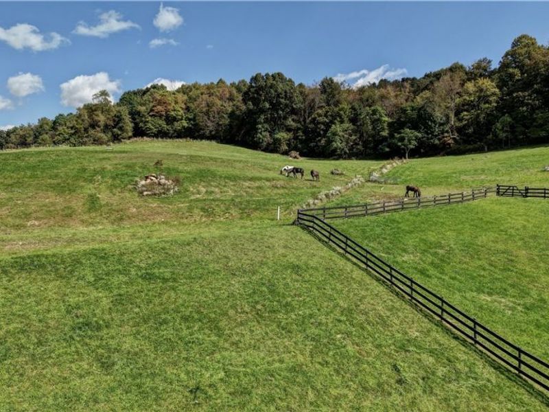 24328 Township Road 252b, Newcomerstown, OH 43832 Photo 33