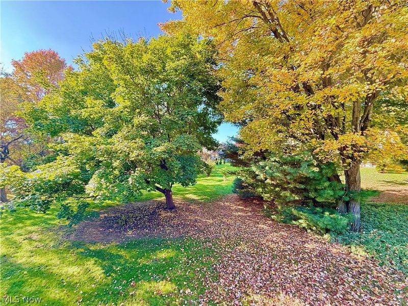 6899 Corrine Drive NW, Canton, OH 44718 Photo 5