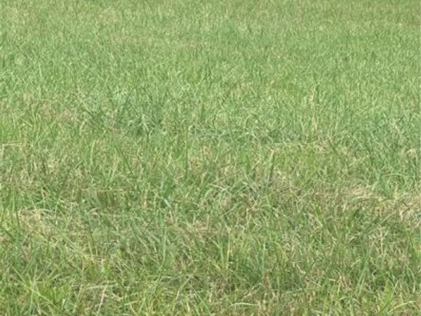Lot 101 Parson Lane , North Wilkesboro, NC 28659