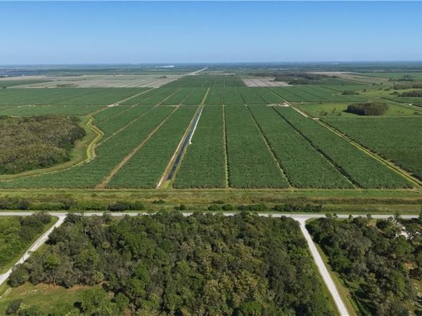 336 Pine Cone AVE , CLEWISTON, FL 33440