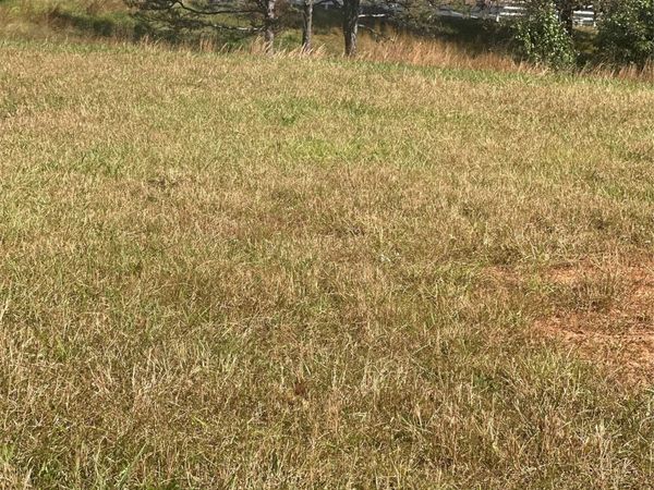 Lot 130 Canterbury Drive , North Wilkesboro, NC 28659