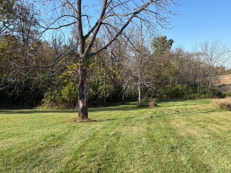 6908 Junction Road, College Corner, OH 45003 Photo 6