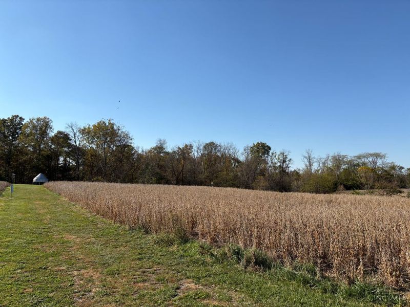 6908 Junction Road, College Corner, OH 45003 Photo 9