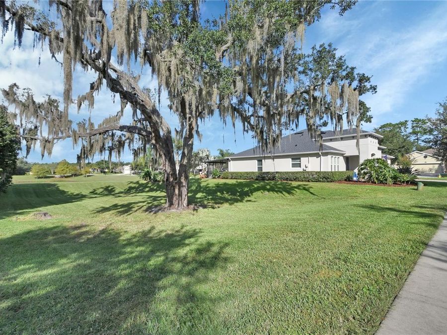 Property Image 61