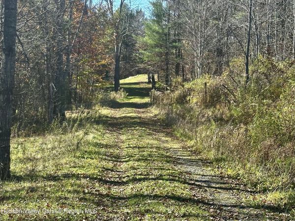 181 E Conesville Road, Gilboa, NY 12076