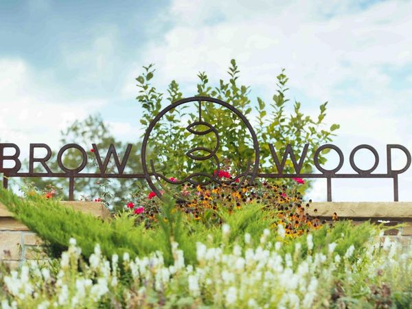 258 Brow Wood Lane, Lookout Mountain, GA 30750