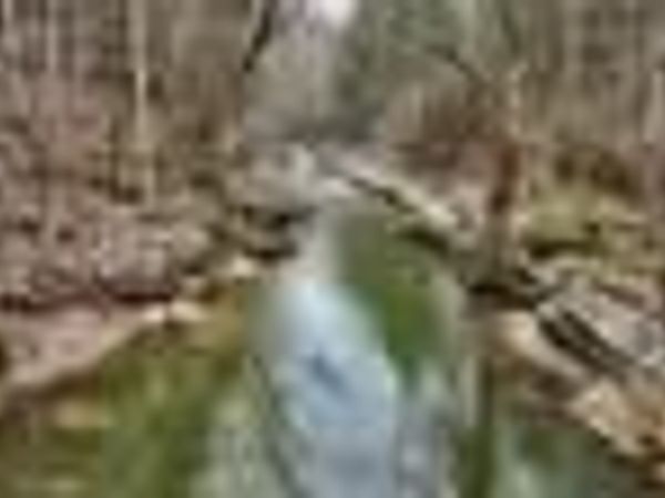 7.08ac Hollow Creek Lane, Clarkrange, TN 38553