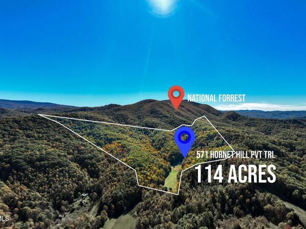 571 Hornet Hill Pvt Trail, Butler, TN 37640