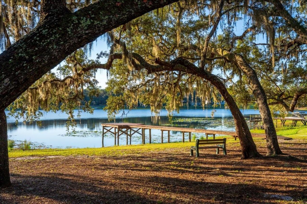 22649 & 22645 & Land NE 105th Avenue Road, Fort Mc Coy, FL 32134 Photo