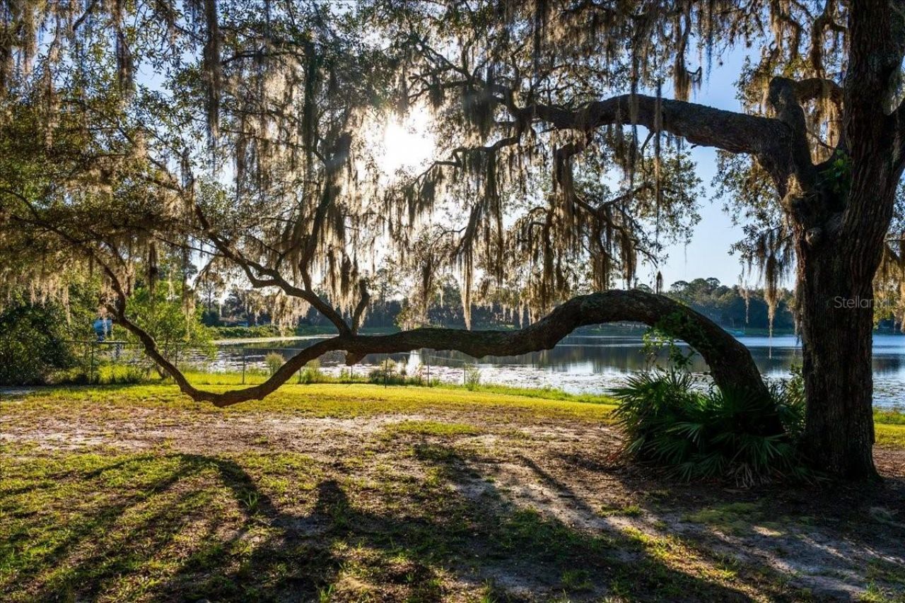 22649 & 22645 & Land NE 105th Avenue Road, Fort Mc Coy, FL 32134 Photo
