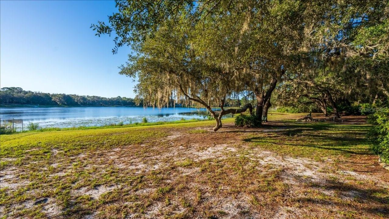 22649 & 22645 & Land NE 105th Avenue Road, Fort Mc Coy, FL 32134 Photo