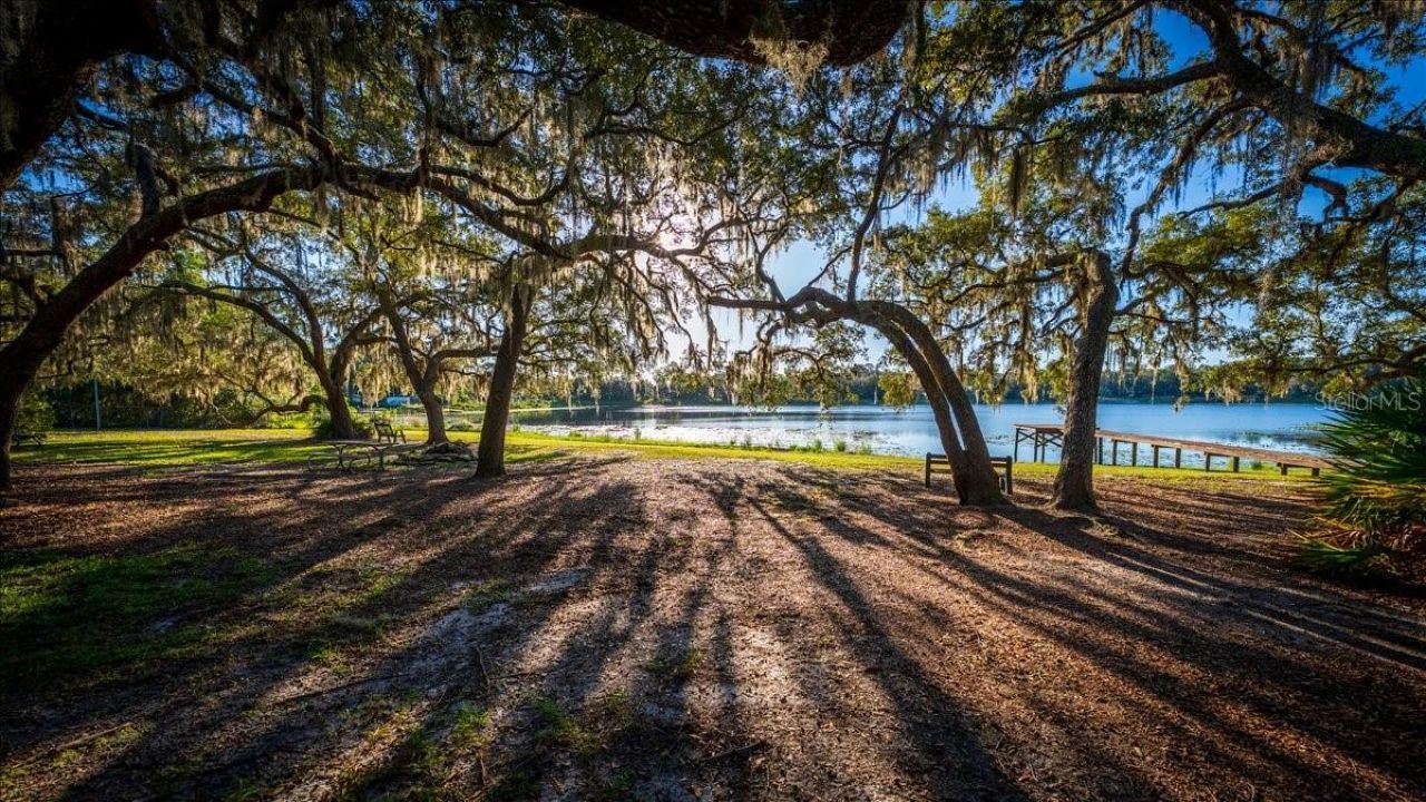22649 & 22645 & Land NE 105th Avenue Road, Fort Mc Coy, FL 32134 Photo