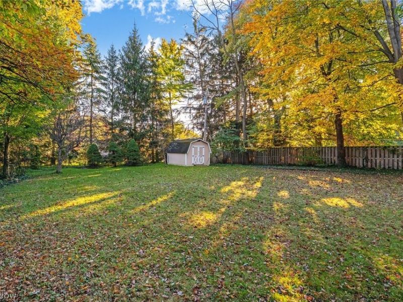 1919 Bremerton Road, Lyndhurst, OH 44124 Photo 29
