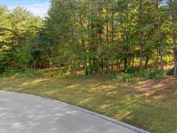 Red Wing Drive, Vonore, TN 37885