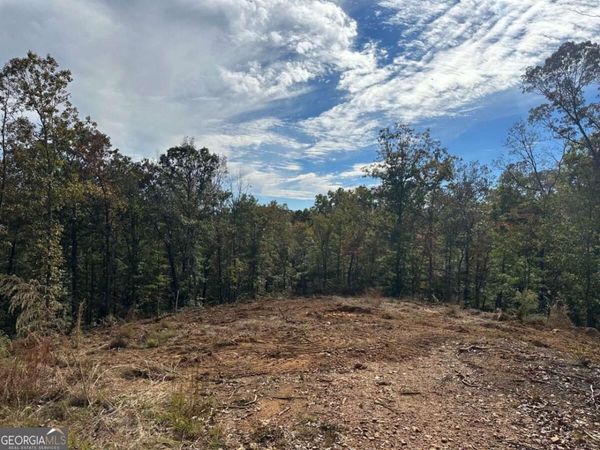 5 Yancy Drive, Dawsonville, GA 30534