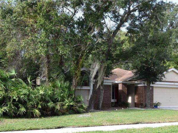 450 CASCADE LANE , PALM HARBOR, FL 34684