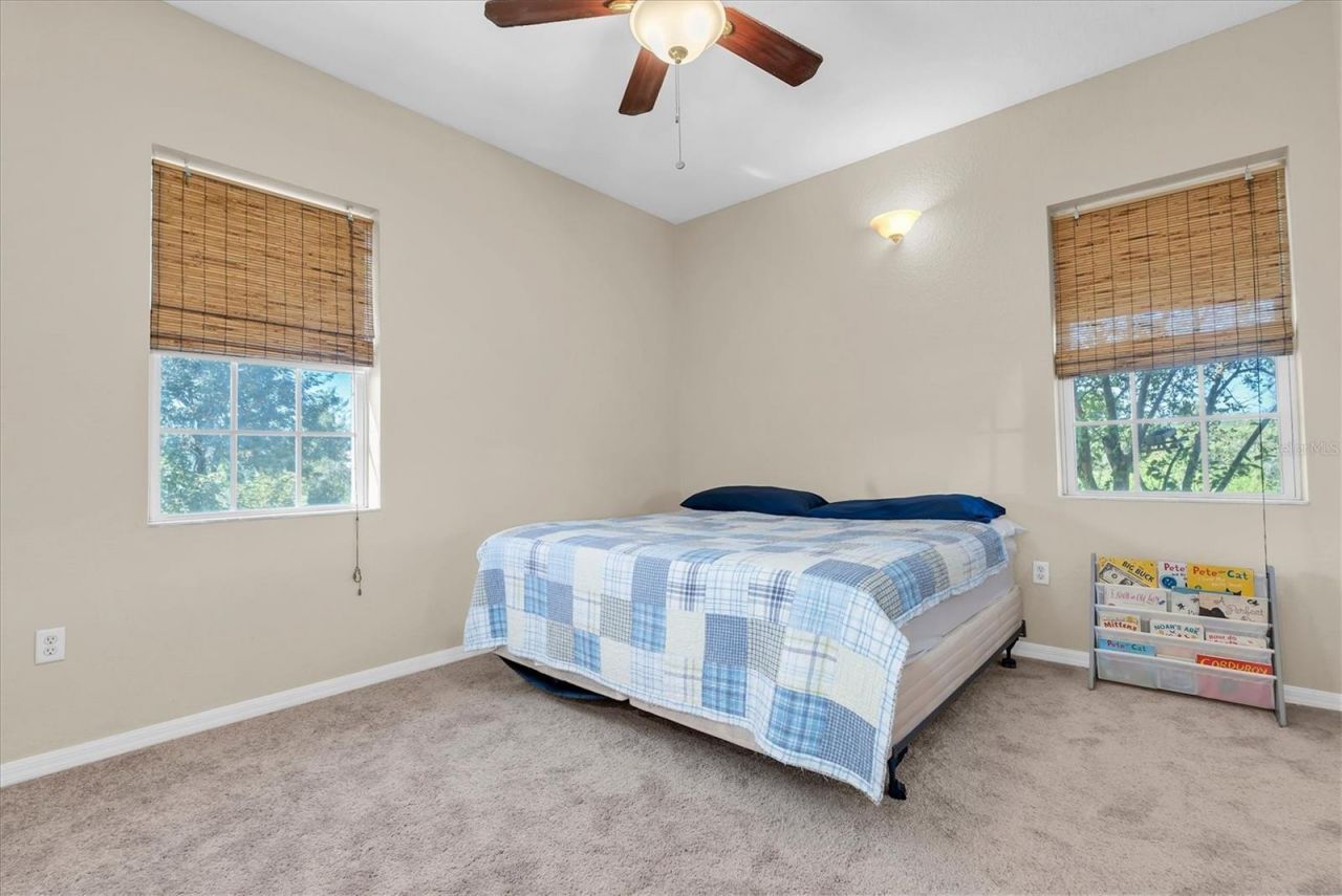 5909 Artesian Ridge Lane, Dover, FL 33527 Photo