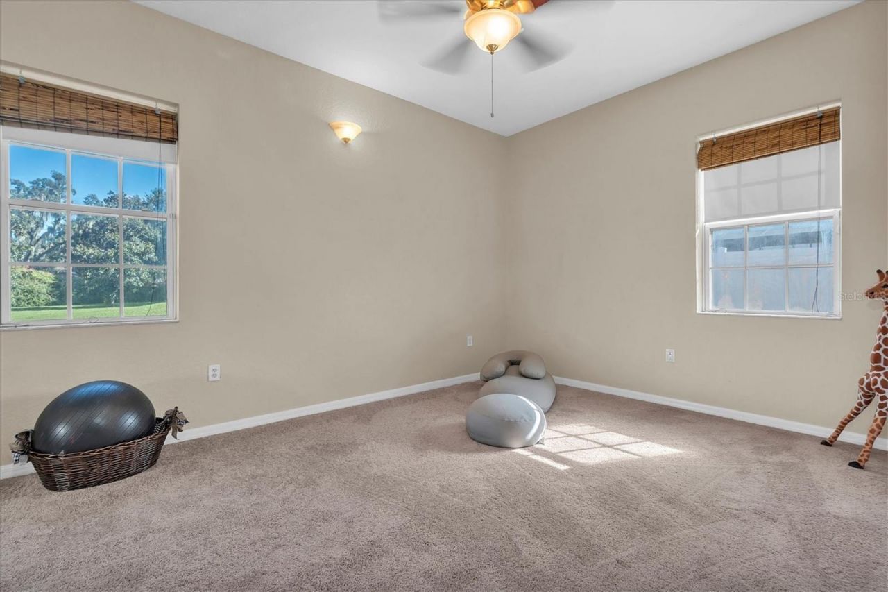 5909 Artesian Ridge Lane, Dover, FL 33527 Photo