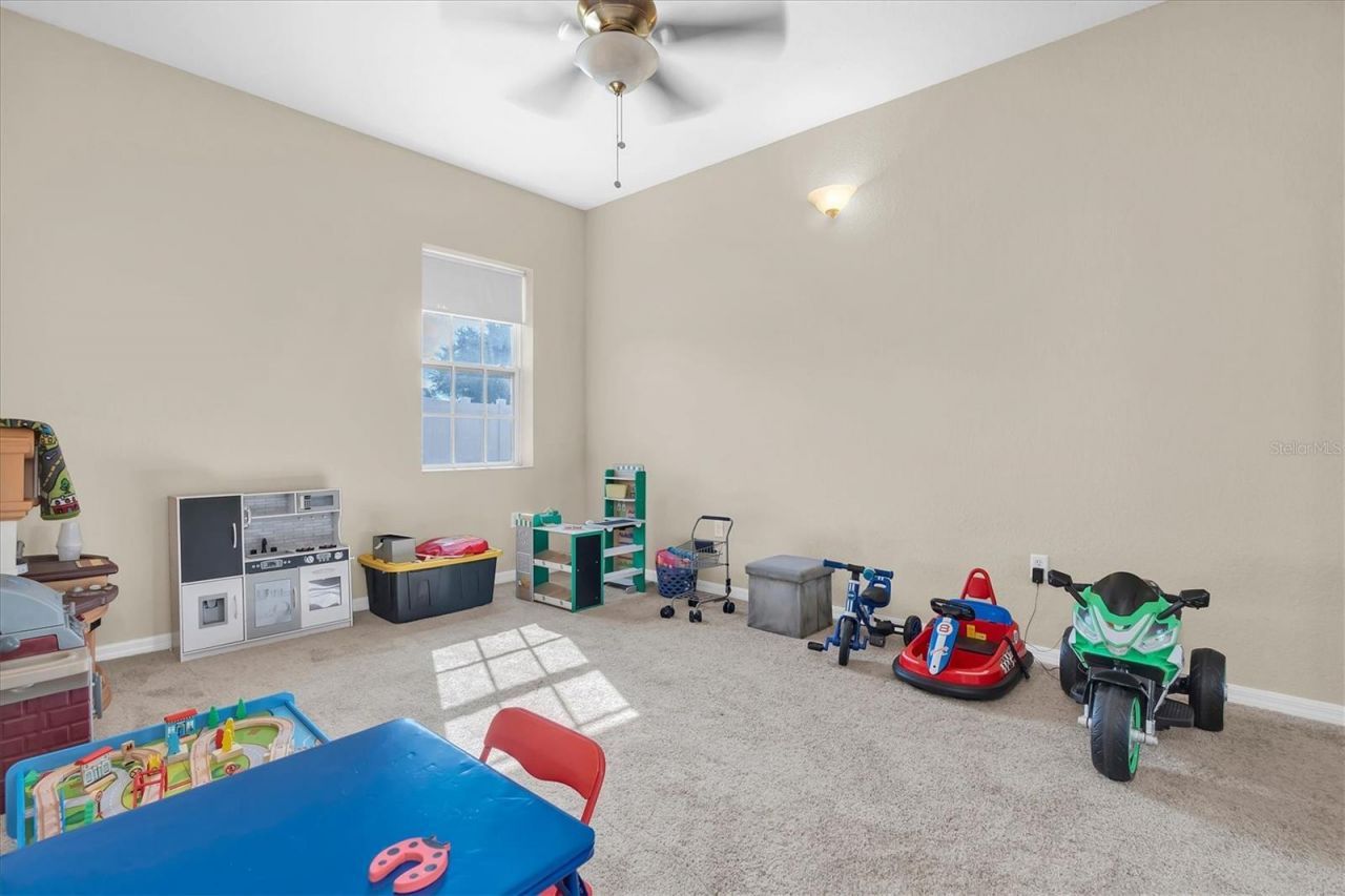 5909 Artesian Ridge Lane, Dover, FL 33527 Photo