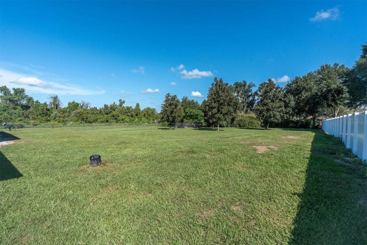 5909 Artesian Ridge Lane, Dover, FL 33527 Photo