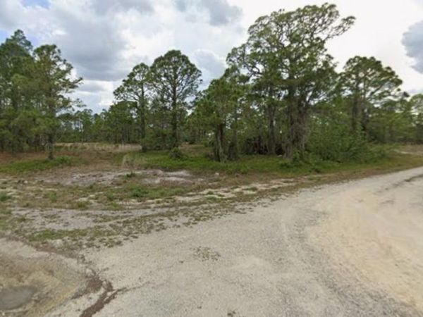 279 SUMMERTIME AVENUE , LAKE PLACID, FL 33852