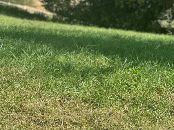 Lot 232 Canterbury Drive , North Wilkesboro, NC 28659