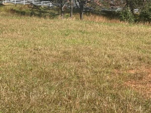 Lot 130 Canterbury Drive , North Wilkesboro, NC 28659