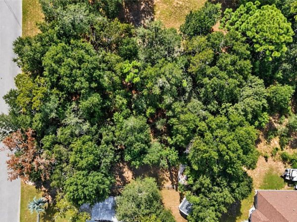 SE 91ST COURT, SUMMERFIELD, FL 34491