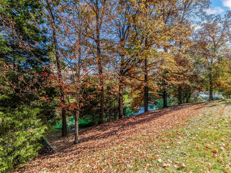 8544 Wiltshire Way, Florence, KY 41042 Photo 37