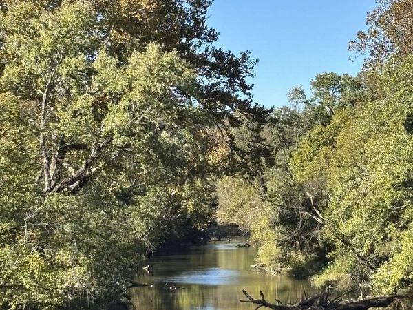 Hwy 115 , Smithville, AR 72466