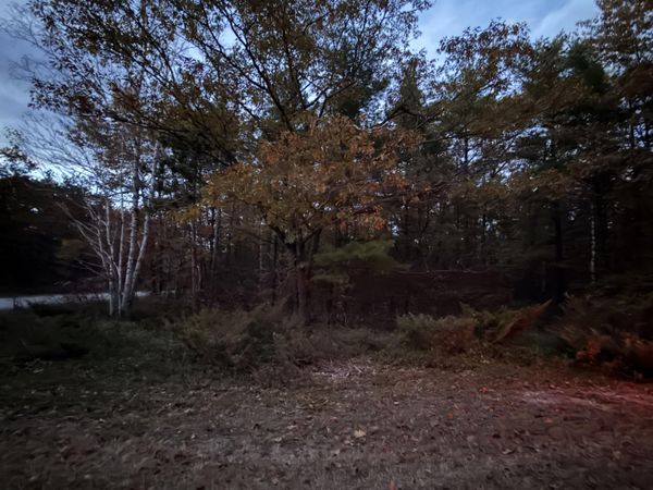 Lot #109 Ponderosa Circle, Presque Isle, MI 49777
