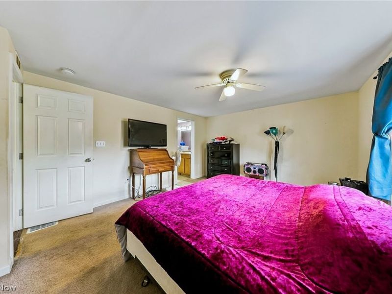 605 Oriole, Roaming Shores, OH 44084 Photo 21