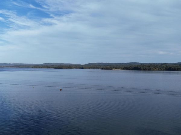 38 Pine Island Point, Scottsboro, AL 35968