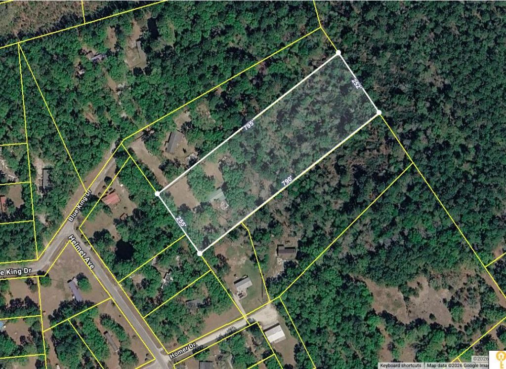 270 Homer Drive Photo 25