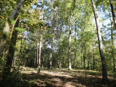 0 Hollywood Road, Appomattox, VA 24522