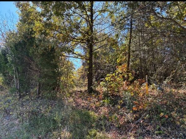 00 Highway 171 , Greenville, KY 42345