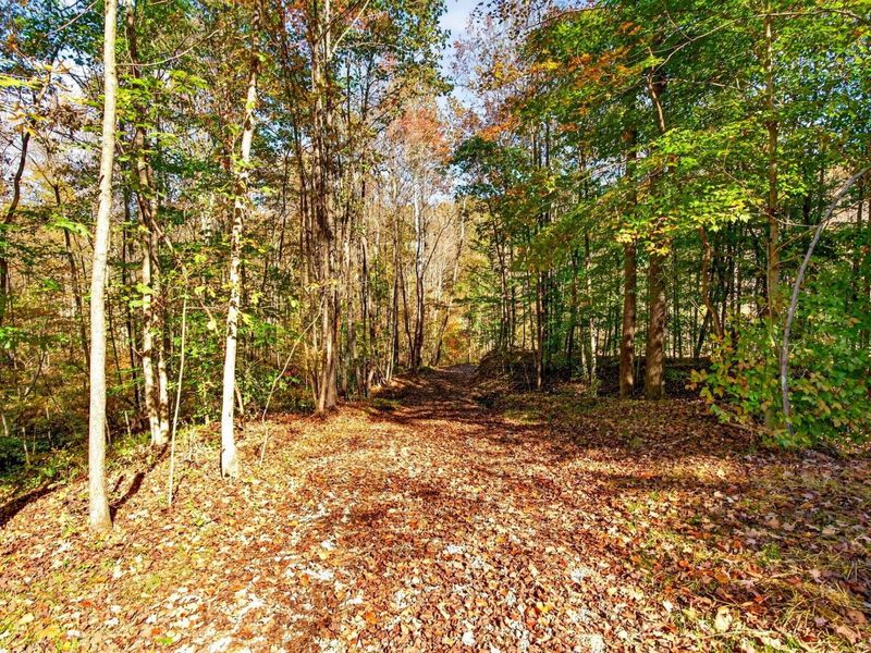 0 E Side Geer Mill Road , Vinton, OH 45686 Photo 31