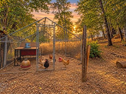 2990 Clay St, Placerville, CA 95667 Photo